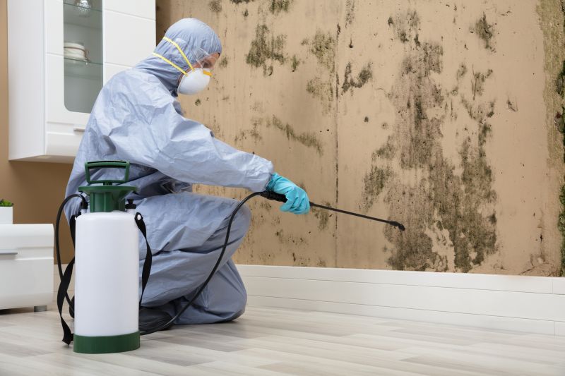 Mold Prevention Strategies