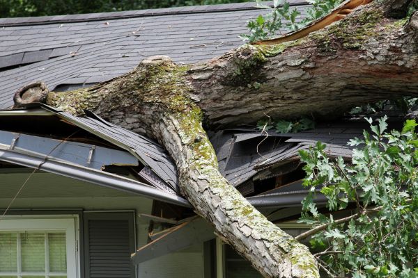 Storm Remediation in Eagle