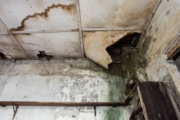 Water Damage Service in Eagle