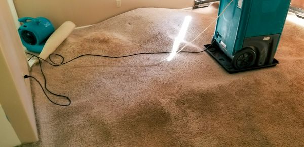 Flood Damage Cleanup in Eagle