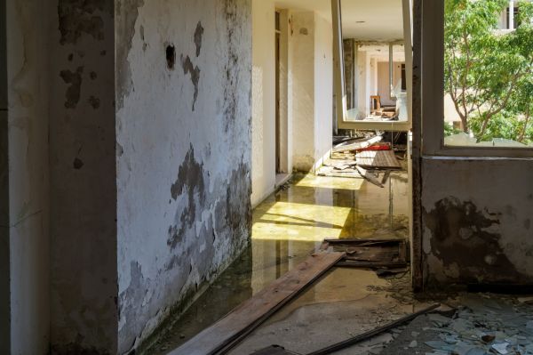 Water Removal Service in Eagle