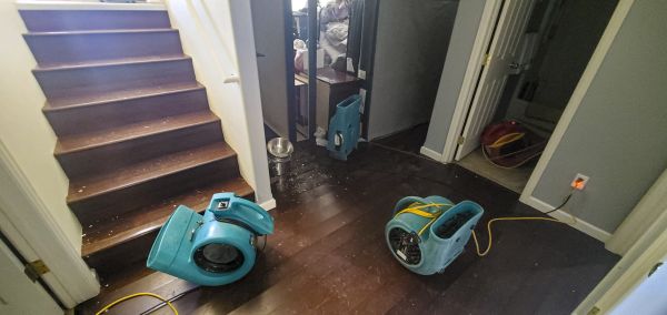 Water Damage Remediation in Eagle