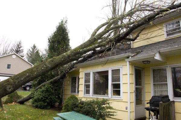 Storm Damage Mitigation in Eagle