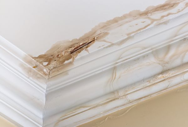 Water Damage Recovery in Eagle